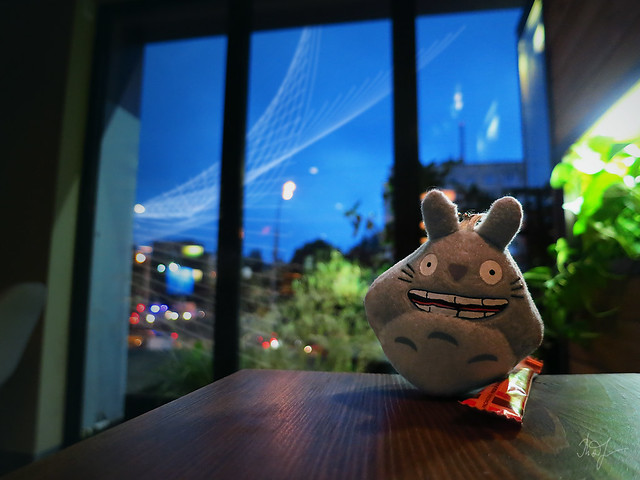 Day #2016: totoro believes that the Beauty is the Mathematics