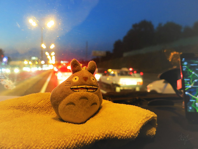 Day #197: totoro rides on the evening Moscow