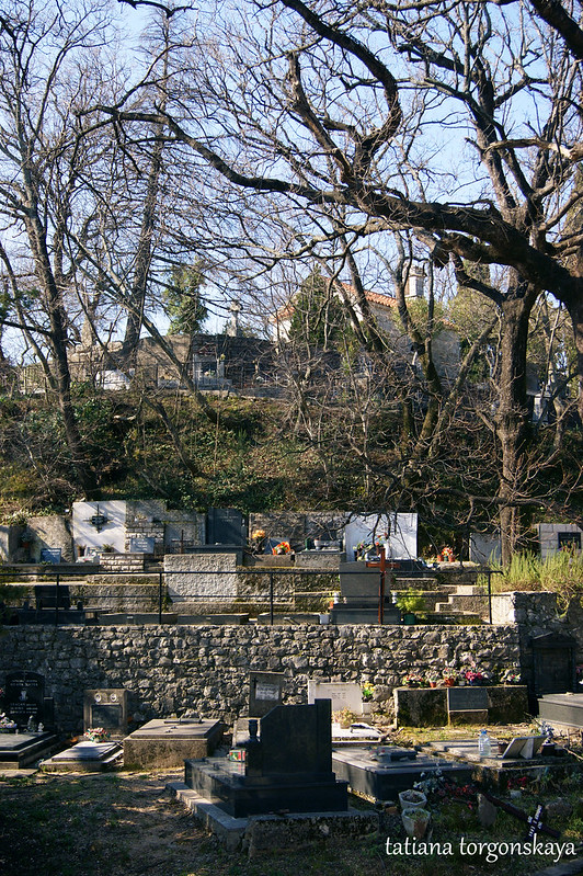 Вид на старое кладбище