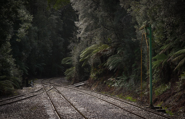 Wilderness Railway