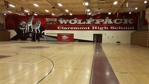 Claremont wall 1 - gym graphics